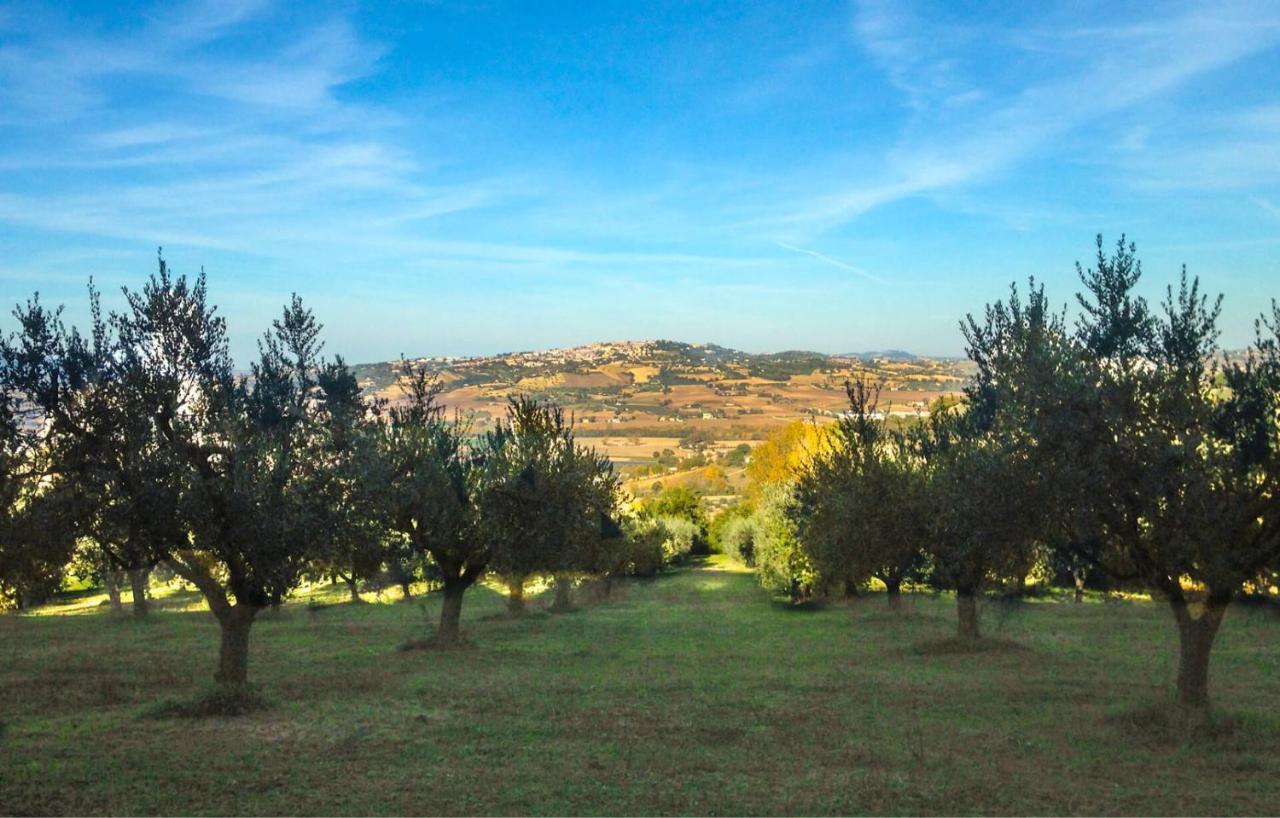 Villa Garulli Montelupone Dış mekan fotoğraf