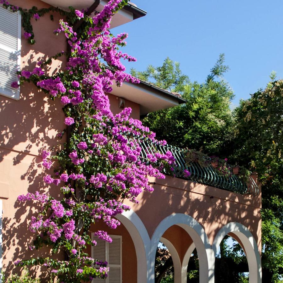Villa Garulli Montelupone Dış mekan fotoğraf
